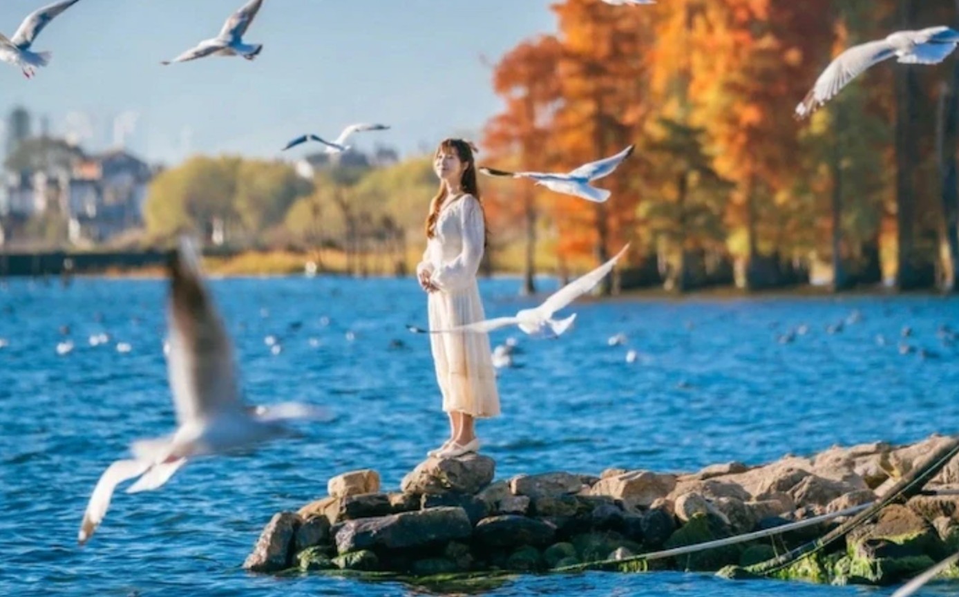 CÔN MINH – KIỆU TỬ SƠN (V)